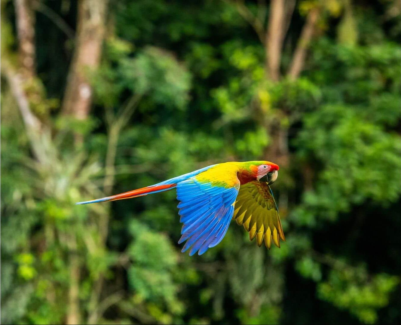 Vacances au Costa Rica